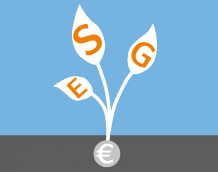 Термин ESG нужно объяснять в школах для подготовки детей к трансформациям в мире
